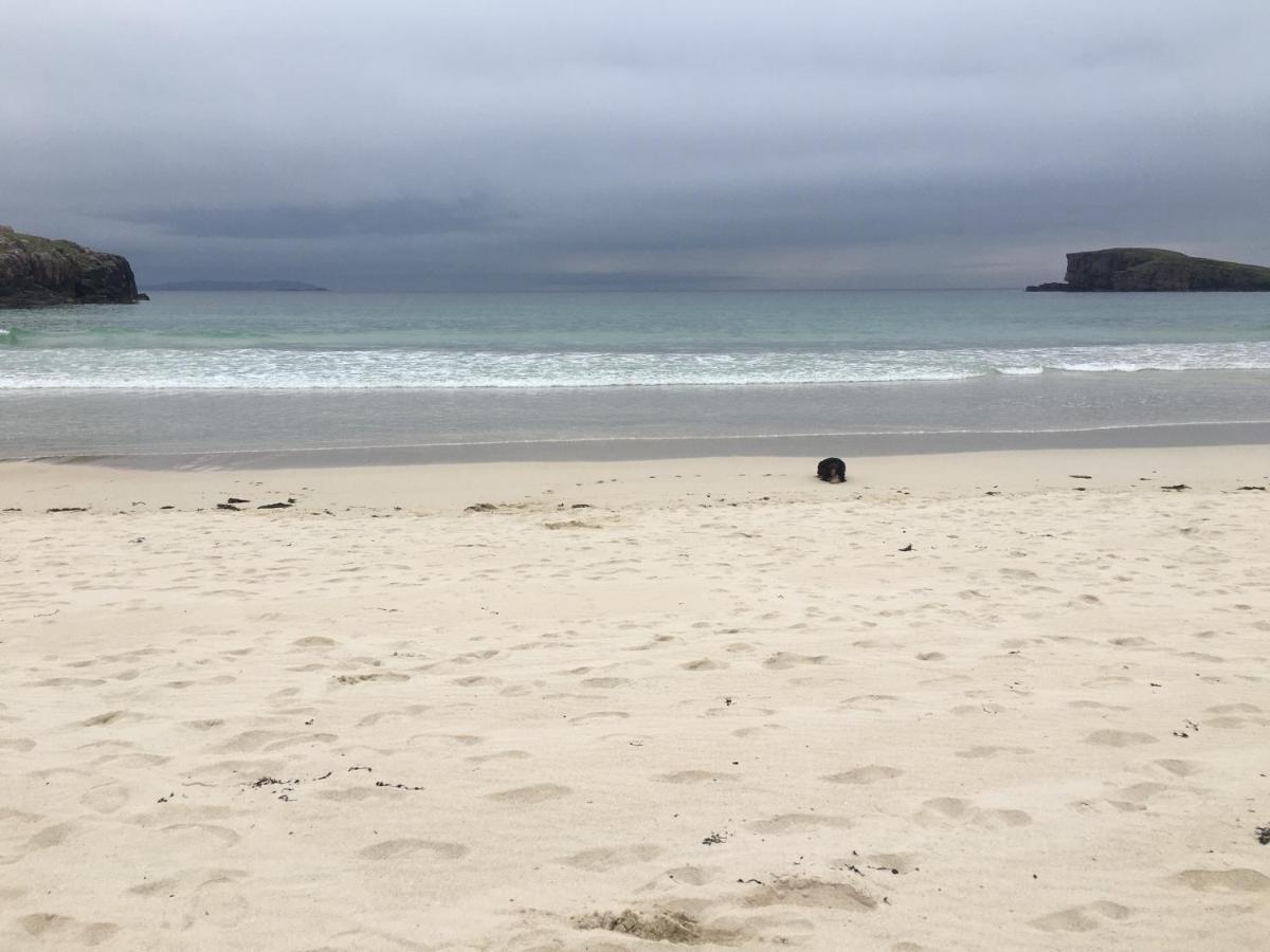 Eco Crofters Wagon By The Beach Oldshoremore Exterior photo